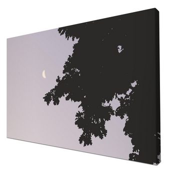 wandmotiv24 Leinwandbild Schatten der Nacht, Blumen und Pflanzen (1 St), Wandbild, Wanddeko, Leinwandbilder in versch. Größen