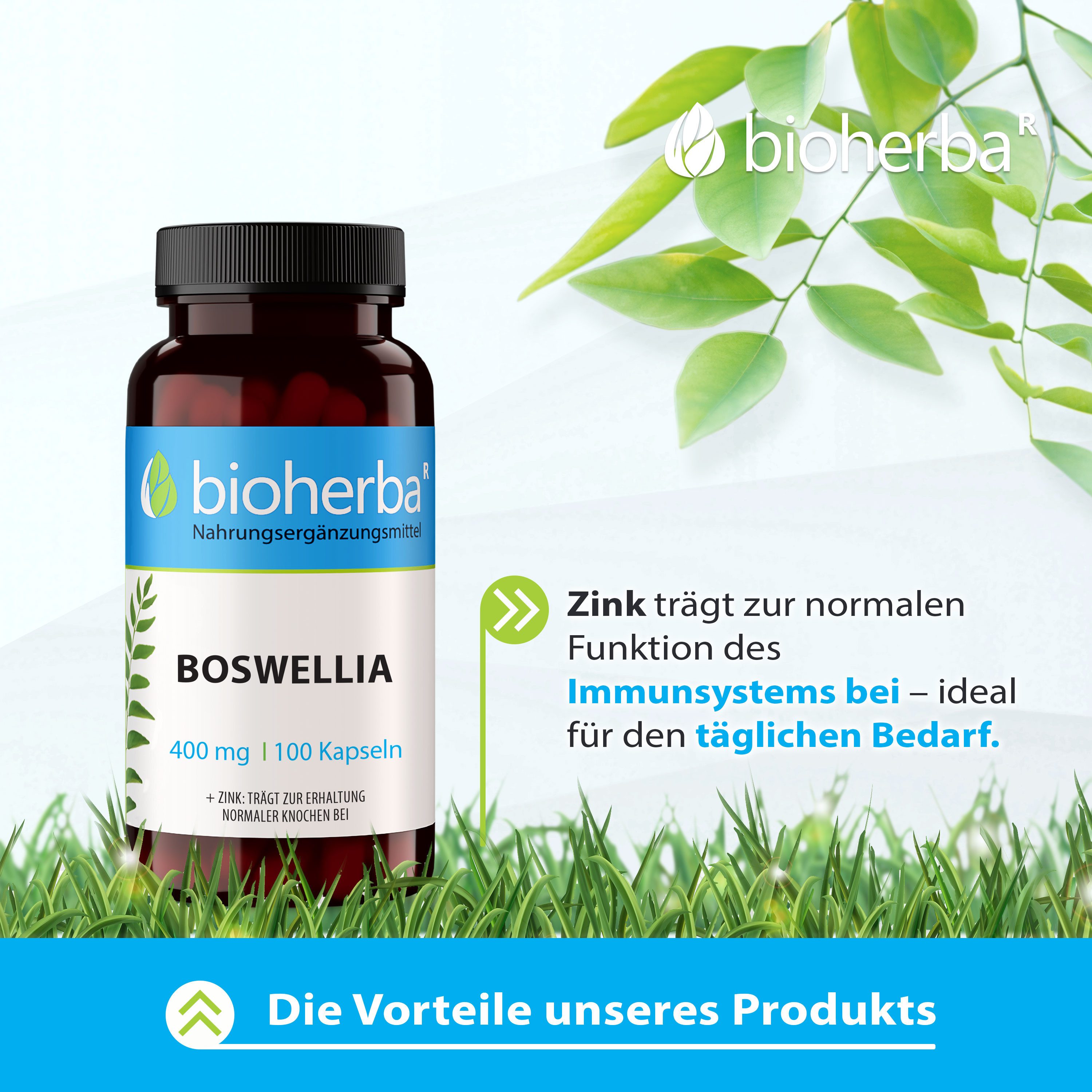 BIOHERBA R Bioherba Boswellia 400 mg 100 Kapseln Tropfen, 1 er
