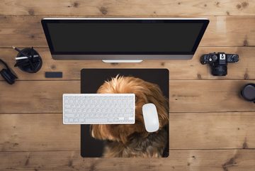 MuchoWow Gaming Mauspad Porträt eines goldbraunen Yorkshire Terriers (1-St), Mousepad mit Rutschfester Unterseite, Gaming, 40x40 cm, XXL, Großes
