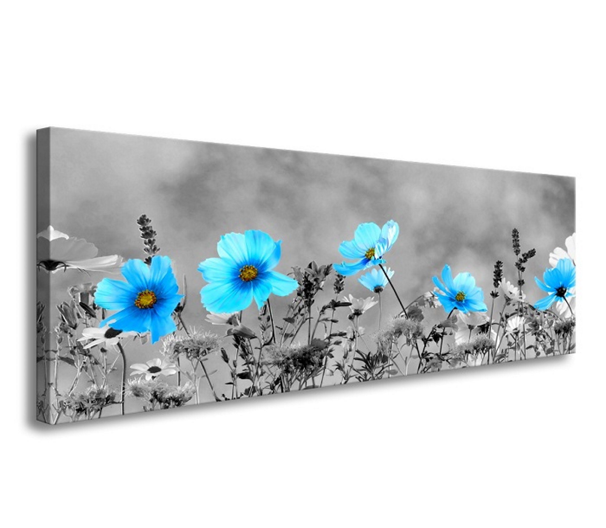 Visario Leinwandbild 1-teiliges Bild auf Leinwand günstig online kaufen