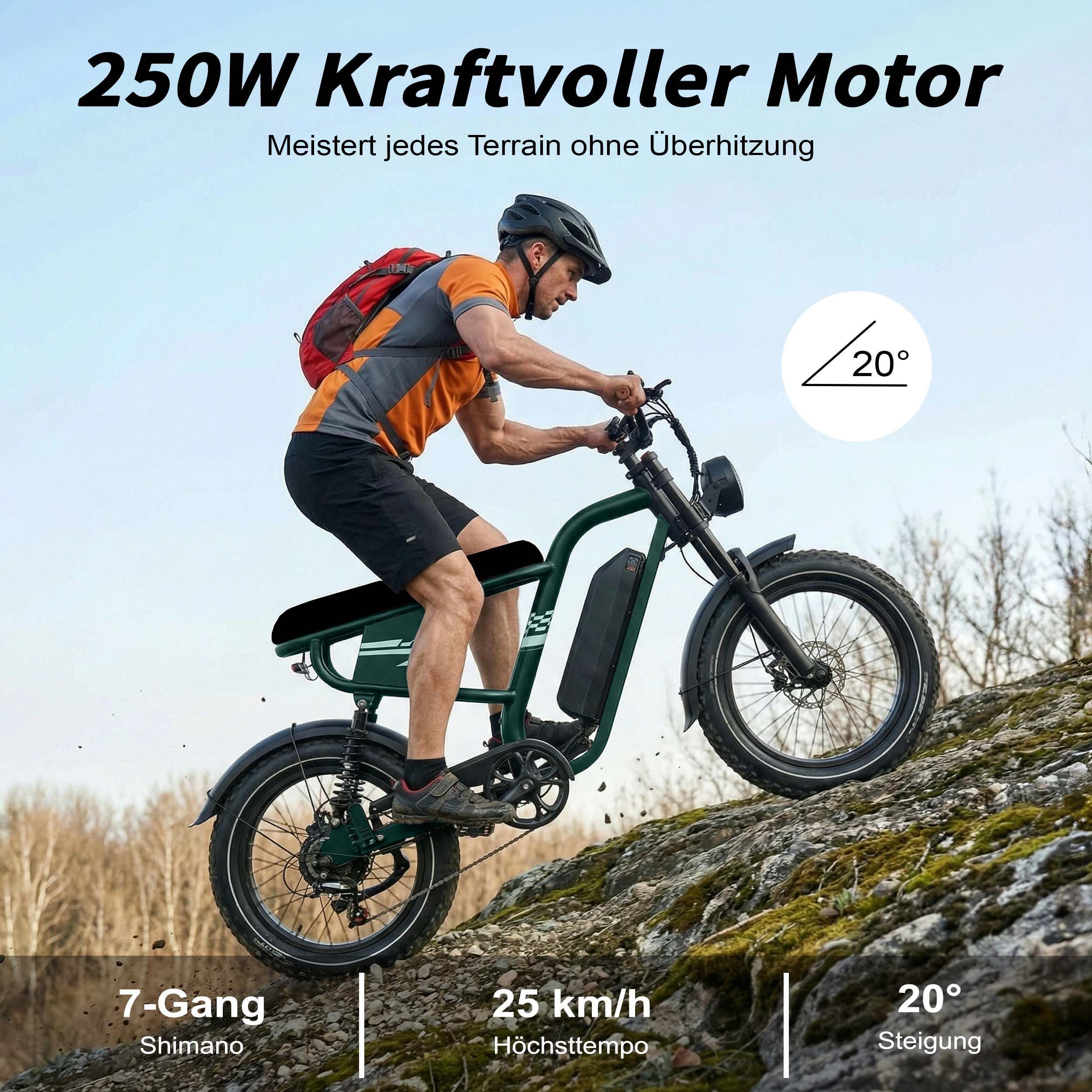 Vankel E-Bike Cityrad MX10 E-Fahrrad 648WH Pedelec, 48V 13,5 AH 100 km Reichweite, Kettenschaltung, Heckmotor, 648 Wh