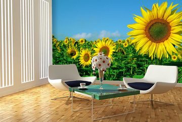WandbilderXXL Fototapete A Place In The Sun, glatt, Sonnenblumen, Vliestapete, hochwertiger Digitaldruck, in verschiedenen Größen