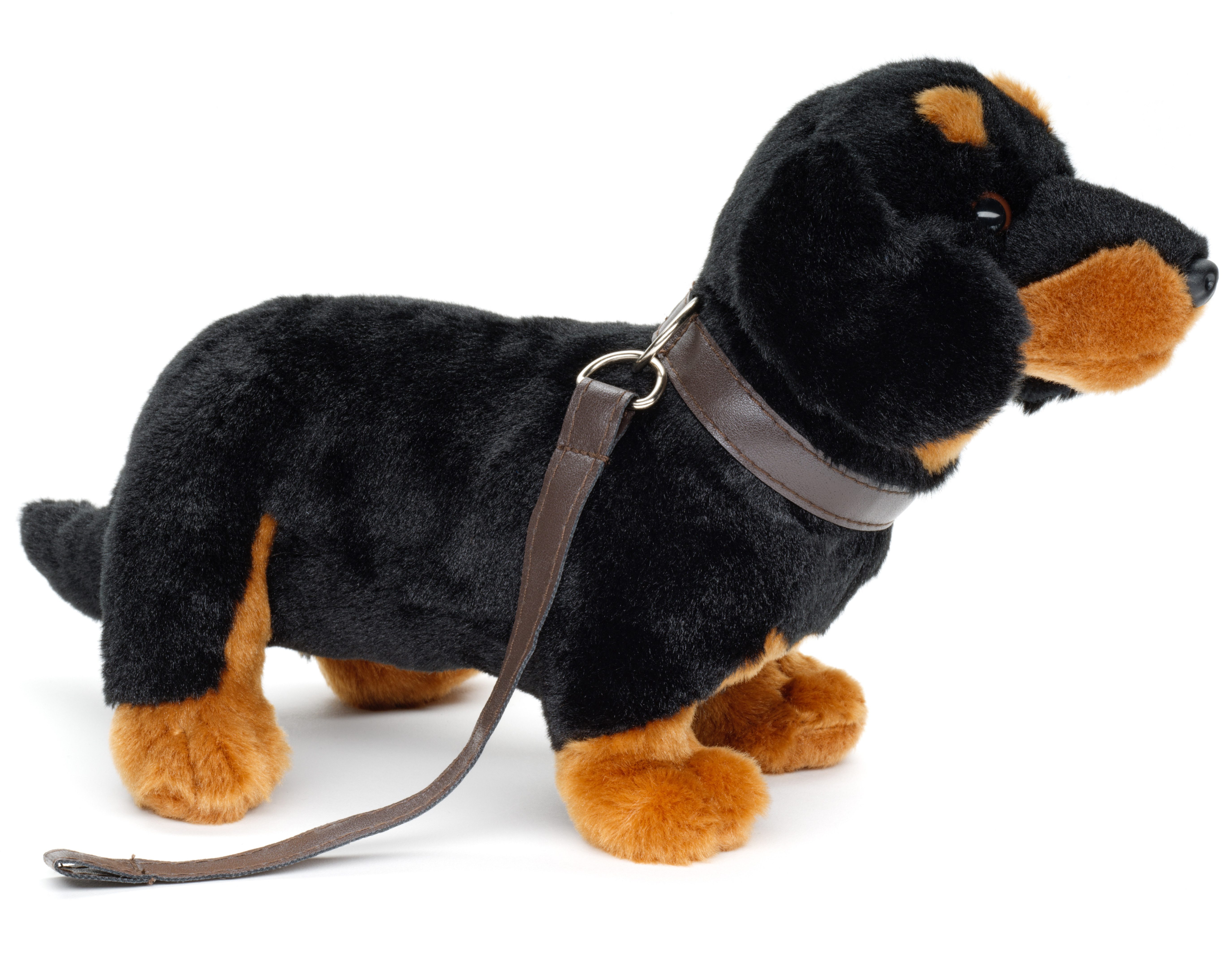 Uni-Toys Kuscheltier Dackel, stehend - mit / ohne Leine - 28 cm - Plüsch-Hund - Plüschtier, zu 100 % recyceltes Füllmaterial