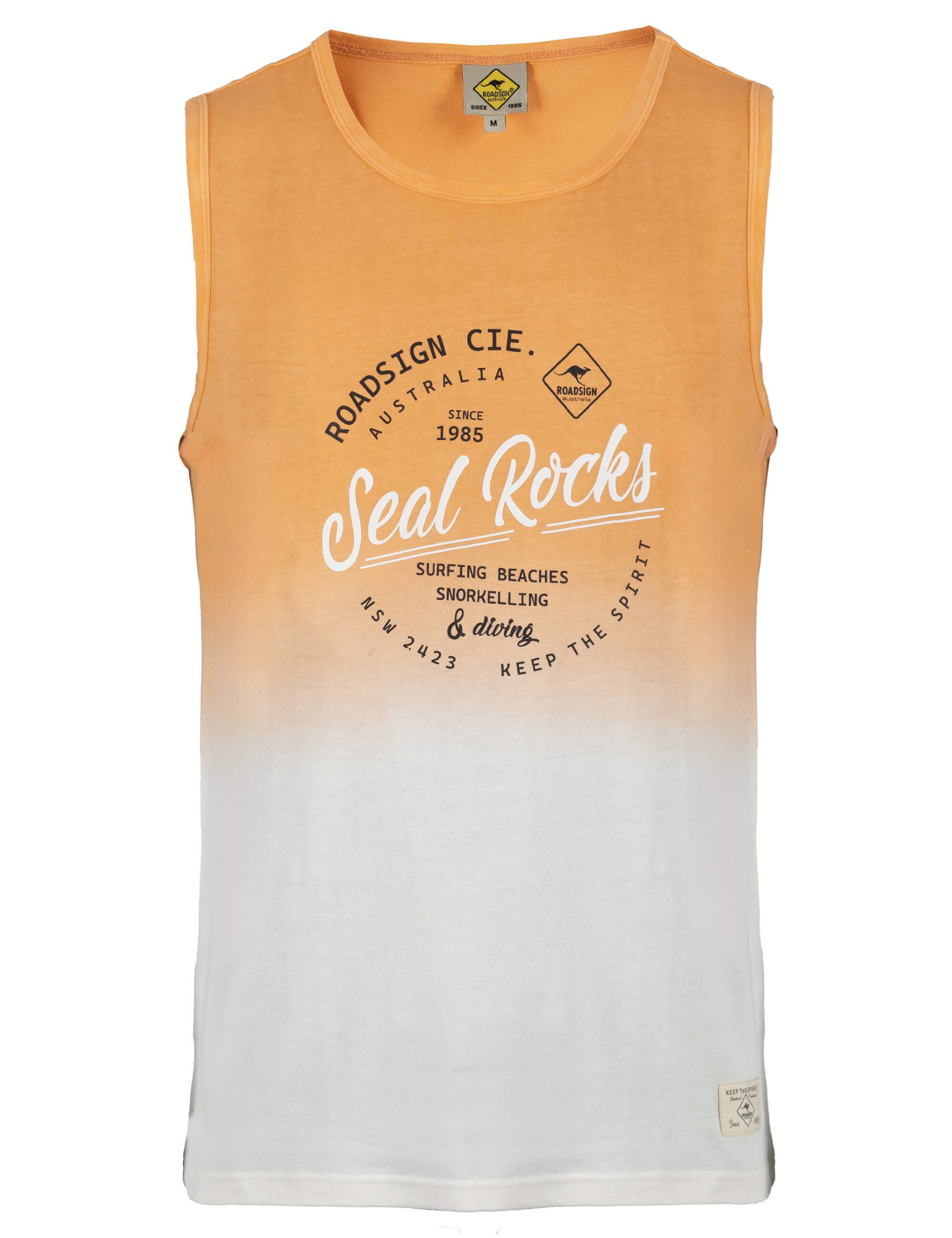 ROADSIGN australia T-Shirt Seal Rocks (1, 1-tlg., 1) Dip Dye Farbverlauf mit Print, lässiger Look für Festivals