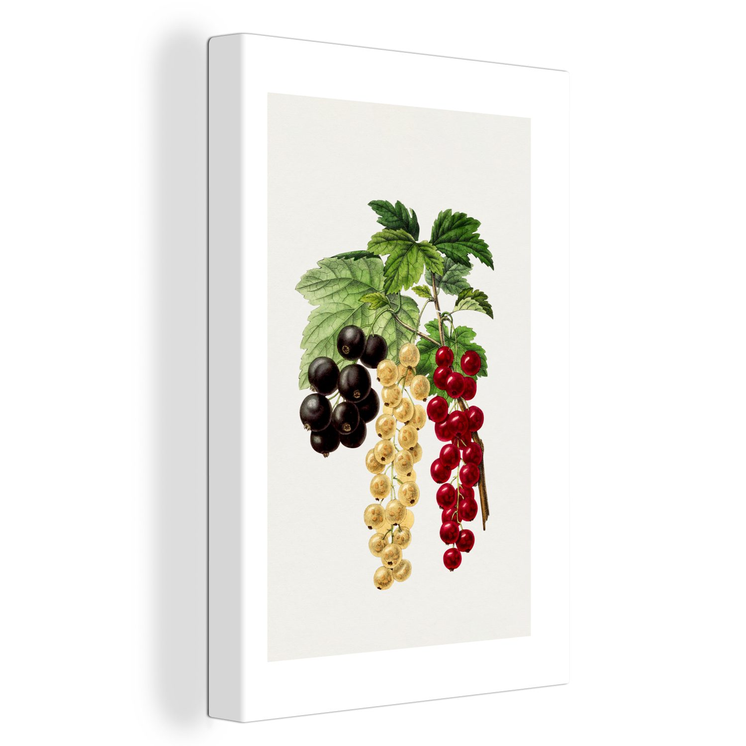 OneMillionCanvasses® Leinwandbild Beeren - Obst - Gesund, (1 St), Leinwandbild fertig bespannt inkl. Zackenaufhänger, Gemälde, 20x30 cm