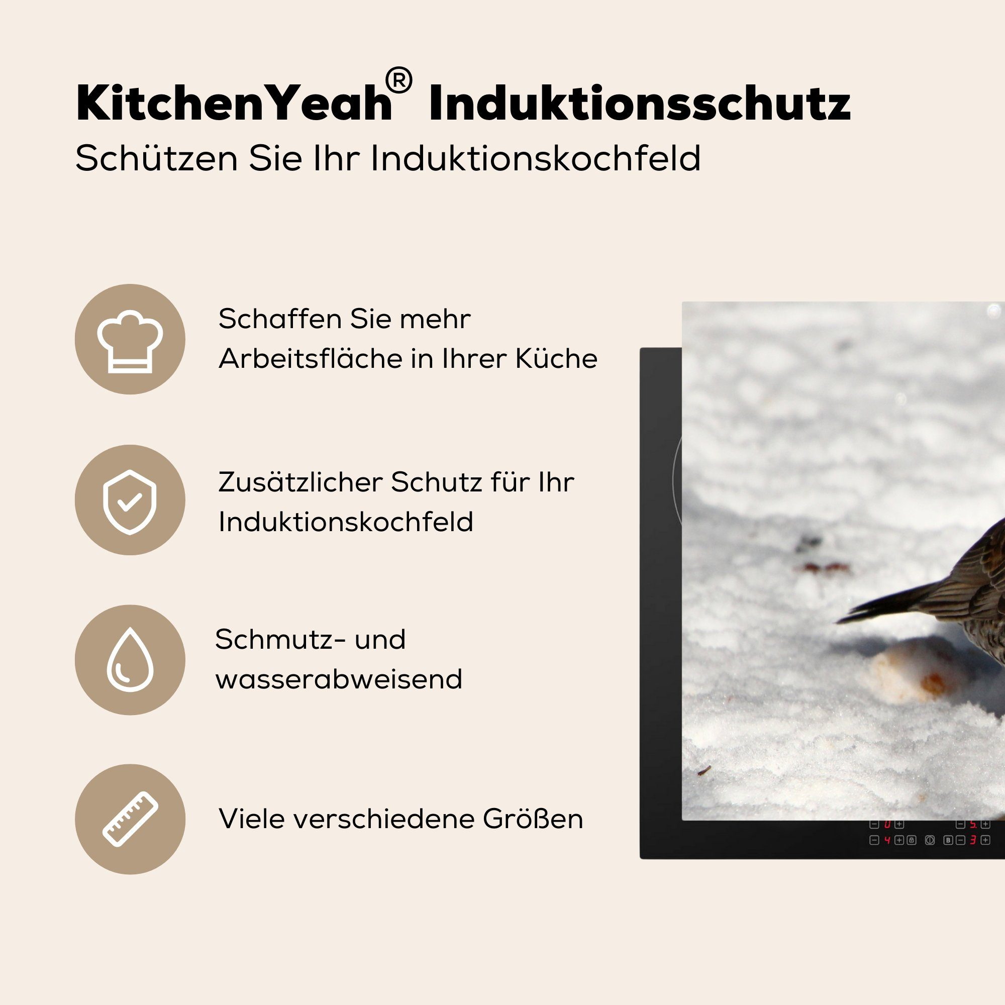europäische Herdblende-/Abdeckplatte (1 Vinyl, tlg), die MuchoWow Schutz Ceranfeldabdeckung cm, Induktionskochfeld Feldvogelart, küche, 71x52 Eine für