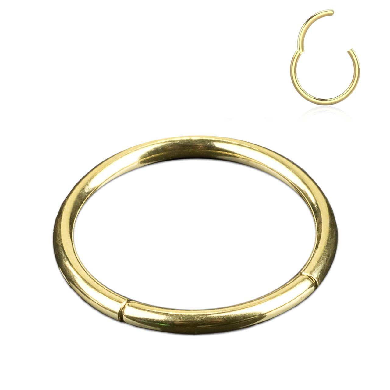 viva-adorno Nasenpiercing Segmentring Clicker Septum, Ring Helix Ohrpiercing Scharnier mit Nasenring Septumring Lippe Ring Gold Chirurgenstahl Piercing