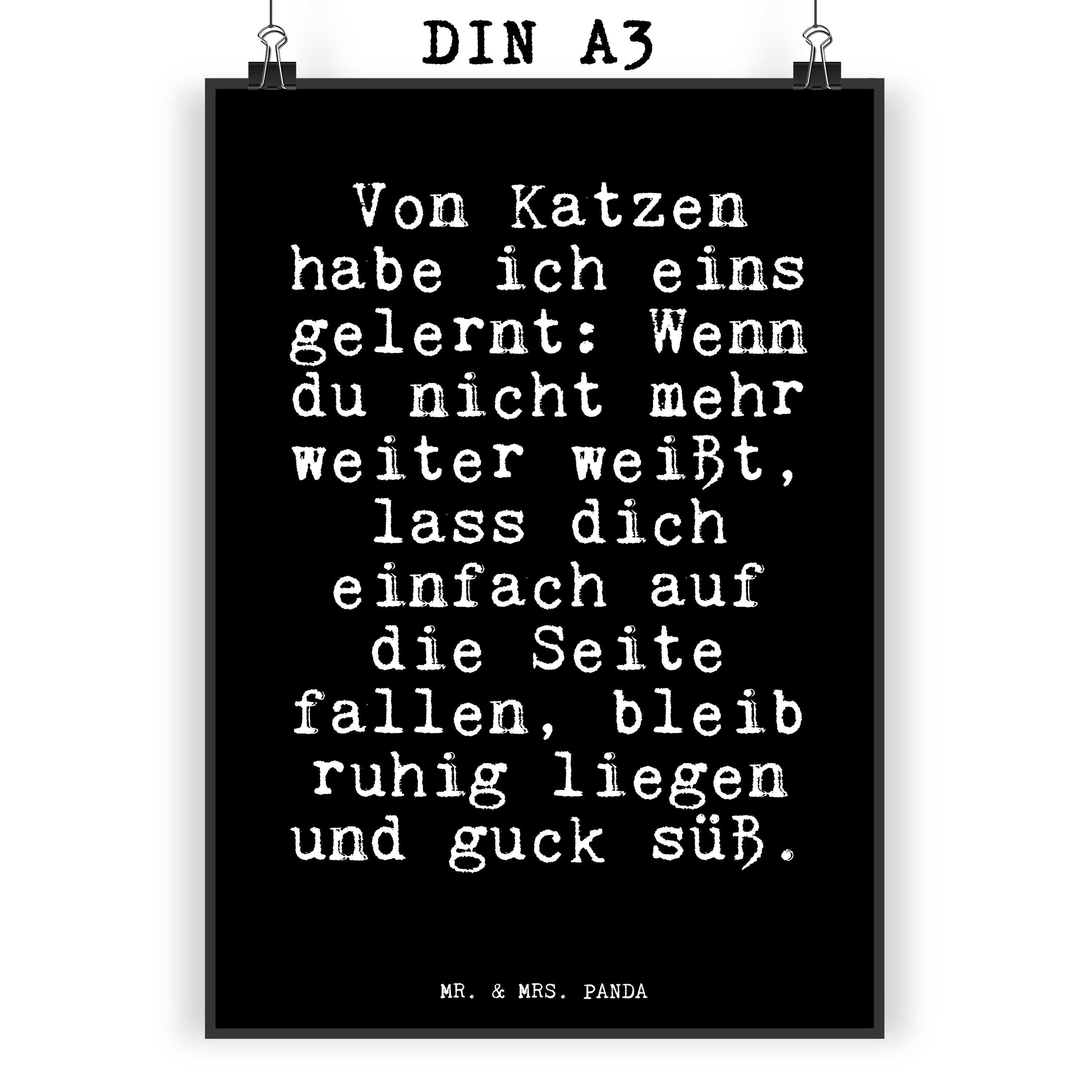Mr. & Mrs. Panda Poster »Von Katzen habe ich... Schwarz Geschenk