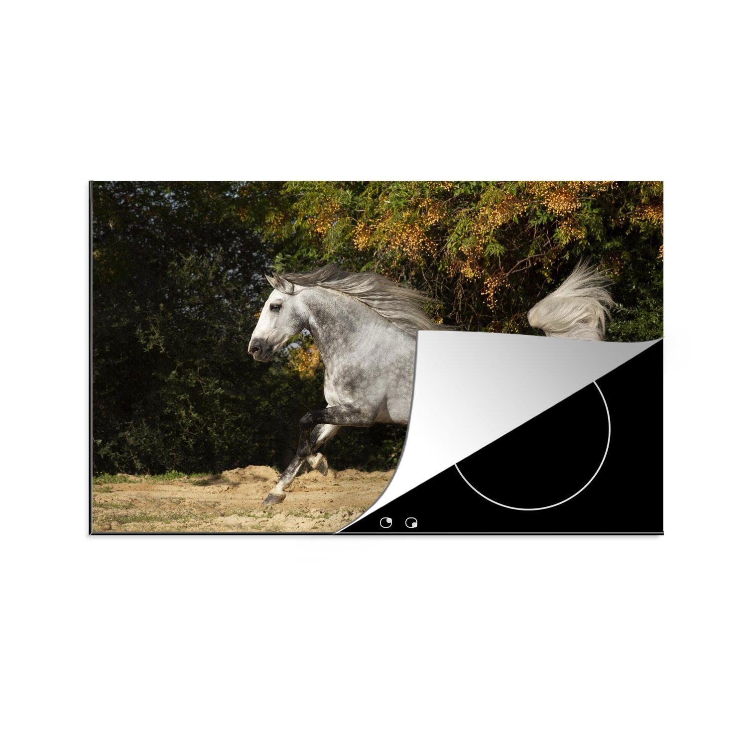 Pferd küche, Andalusier cm, Schutz für - Vinyl, - Weiß tlg), Ceranfeldabdeckung Herdblende-/Abdeckplatte Induktionskochfeld 81x52 - MuchoWow die (1 Gras,