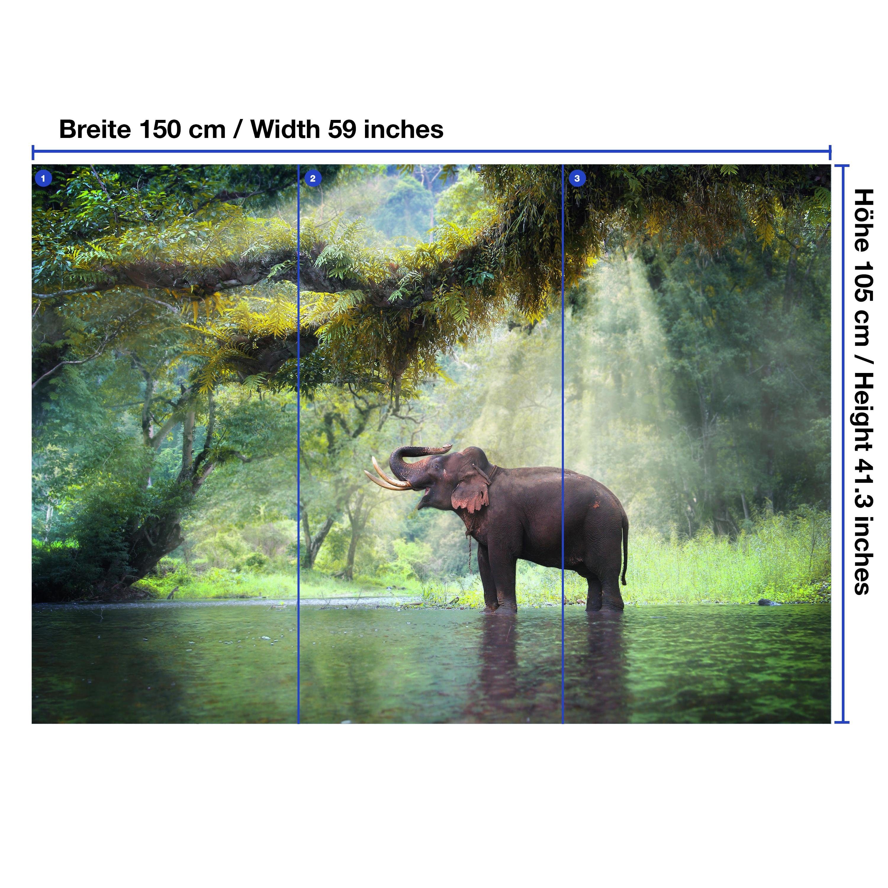 mit Elefant, glatt, Motivtapete, Fototapete matt, Urwald wandmotiv24 Vliestapete Wandtapete,