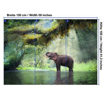 wandmotiv24 Fototapete Urwald mit Elefant, glatt, Wandtapete, Motivtapete, matt, Vliestapete