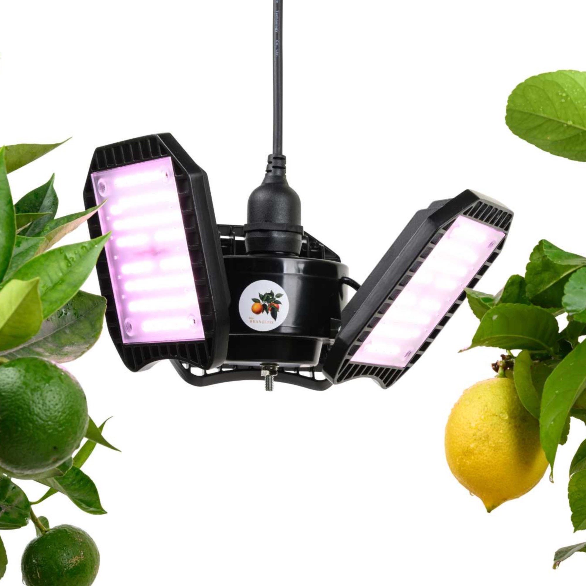 Meine Orangerie Pflanzenlampe FLEX – Spezialleuchte zur Überwinterung von Pflanzen, LED fest integriert, 450-750nm, LED-Pflanzenlampe Speziallichtquelle