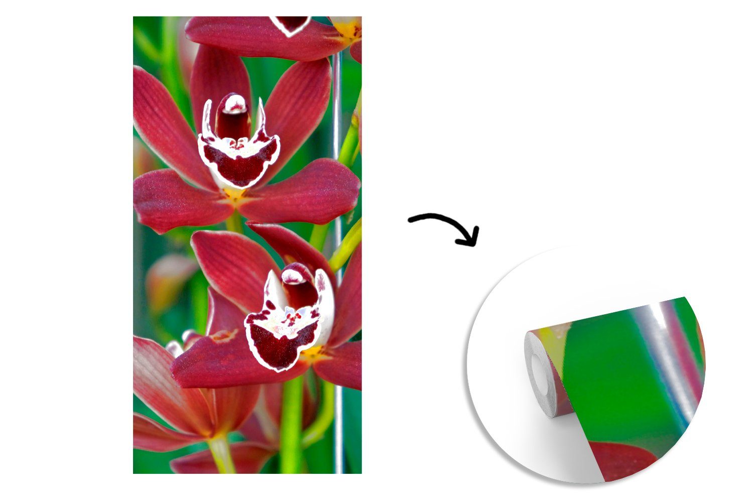 einen Hintergrund, Matt, für Fototapete Fototapete Orchideen grünen (2 Wohnzimmer Rote Küche, Schlafzimmer Vliestapete für bedruckt, MuchoWow St),