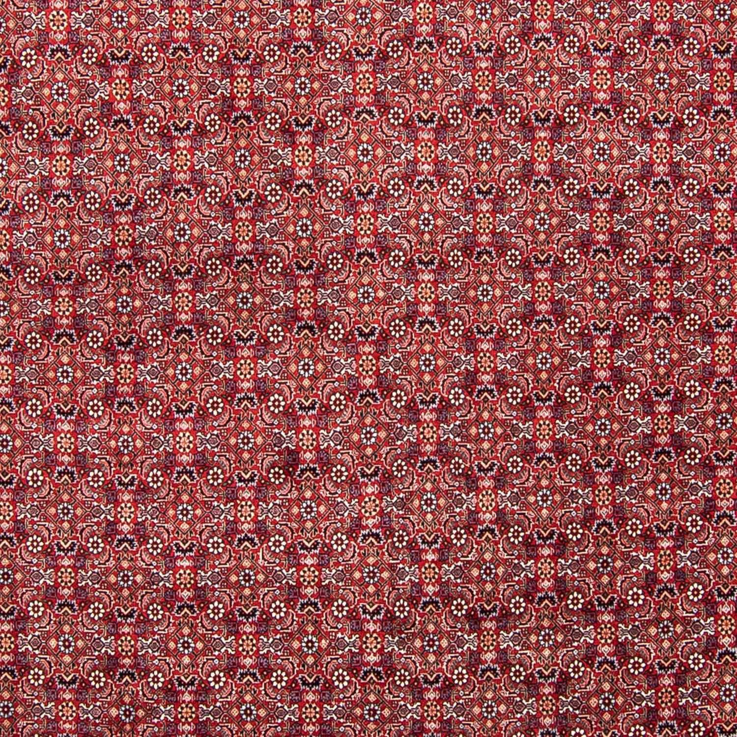 Orientteppich Perser - Wohnzimmer, 347 mit - Höhe: - 15 Einzelstück 248 morgenland, mm, x Handgeknüpft, Bidjar cm rechteckig, Zertifikat rot
