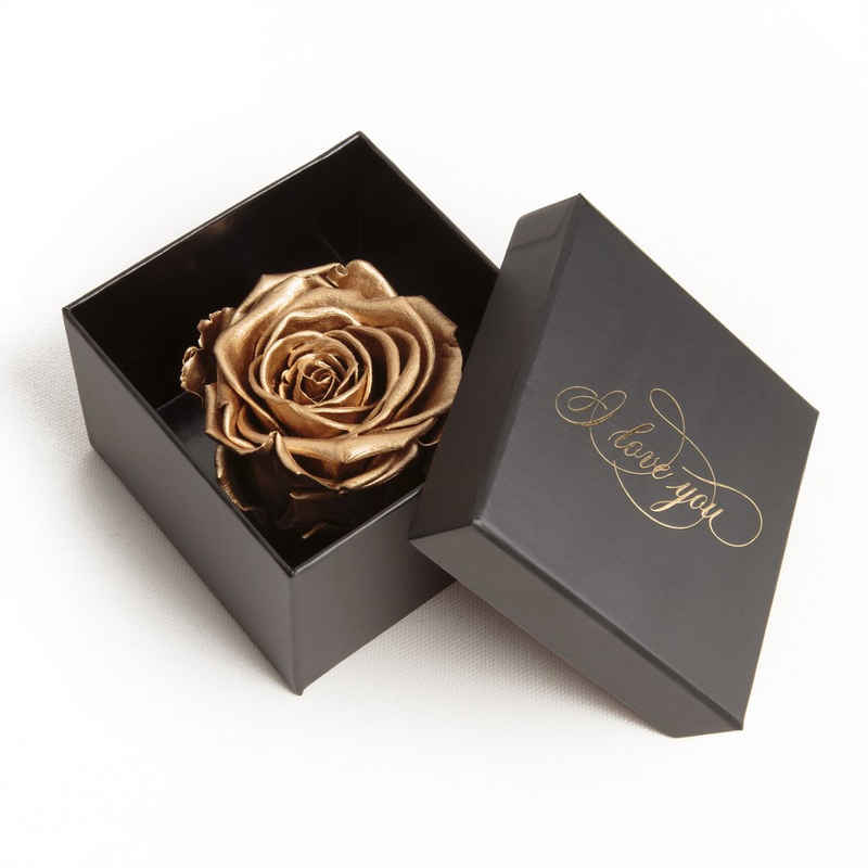 Kunstblume »Infinity Rose Box I Love You Geschenk Idee Liebesbeweis« Rose, ROSEMARIE SCHULZ Heidelberg, Höhe 6 cm, Echte Rose konserviert