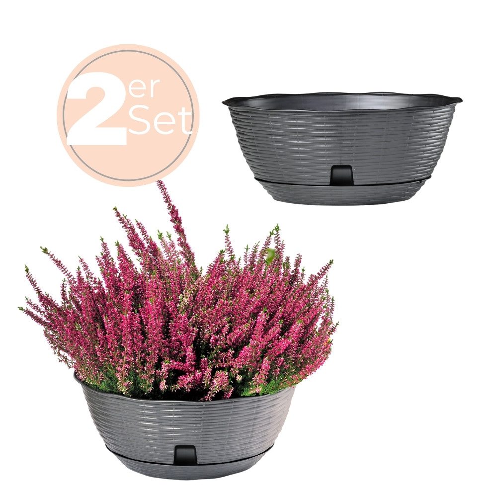 Pflanzschale 2x Pflanzschale Blumenschale draussen Bonsai Grabschale Anthrazit 40cm