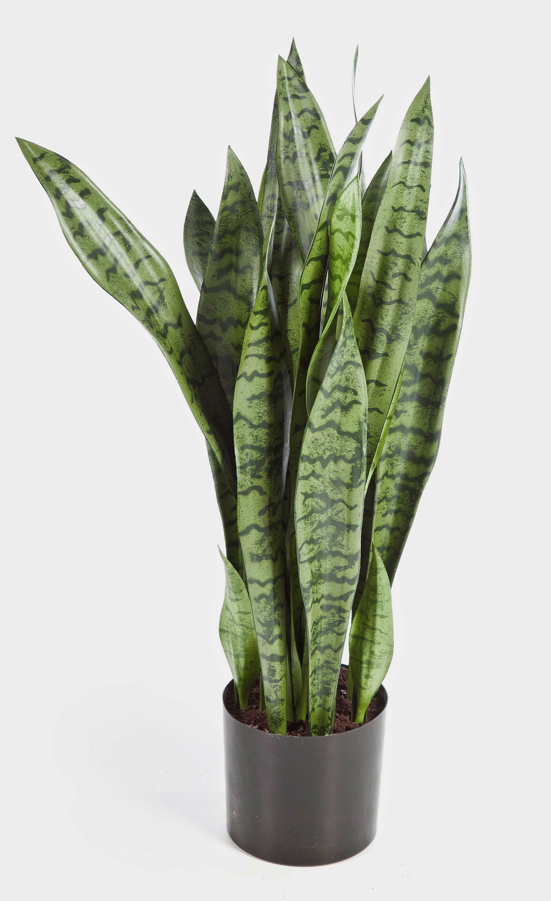 Kunstpflanze Künstliche Sansevieria, grün, getopft, 80cm - Bogenhanf Kunstpflanze Bogenhanf (Sansevieria trifasciata), artplants, Höhe 80.0 cm