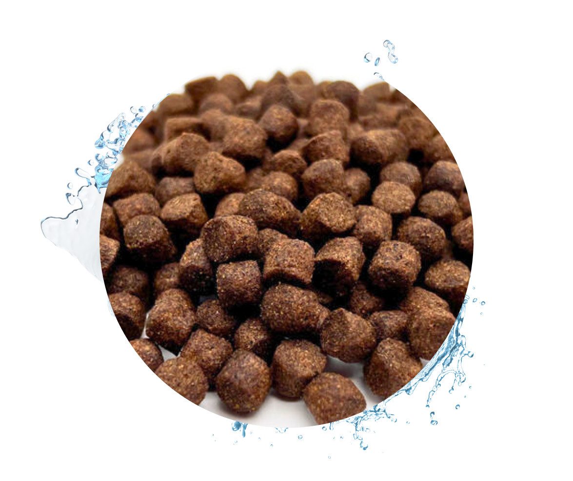 Warnick´s Tierfutterservice Koifutter Top Energy Plus - Leistungsfutter für Koi / Zierkarpfen 8mm, Hauptfutter für: Fische, Koi, Karpfen, Zierfische