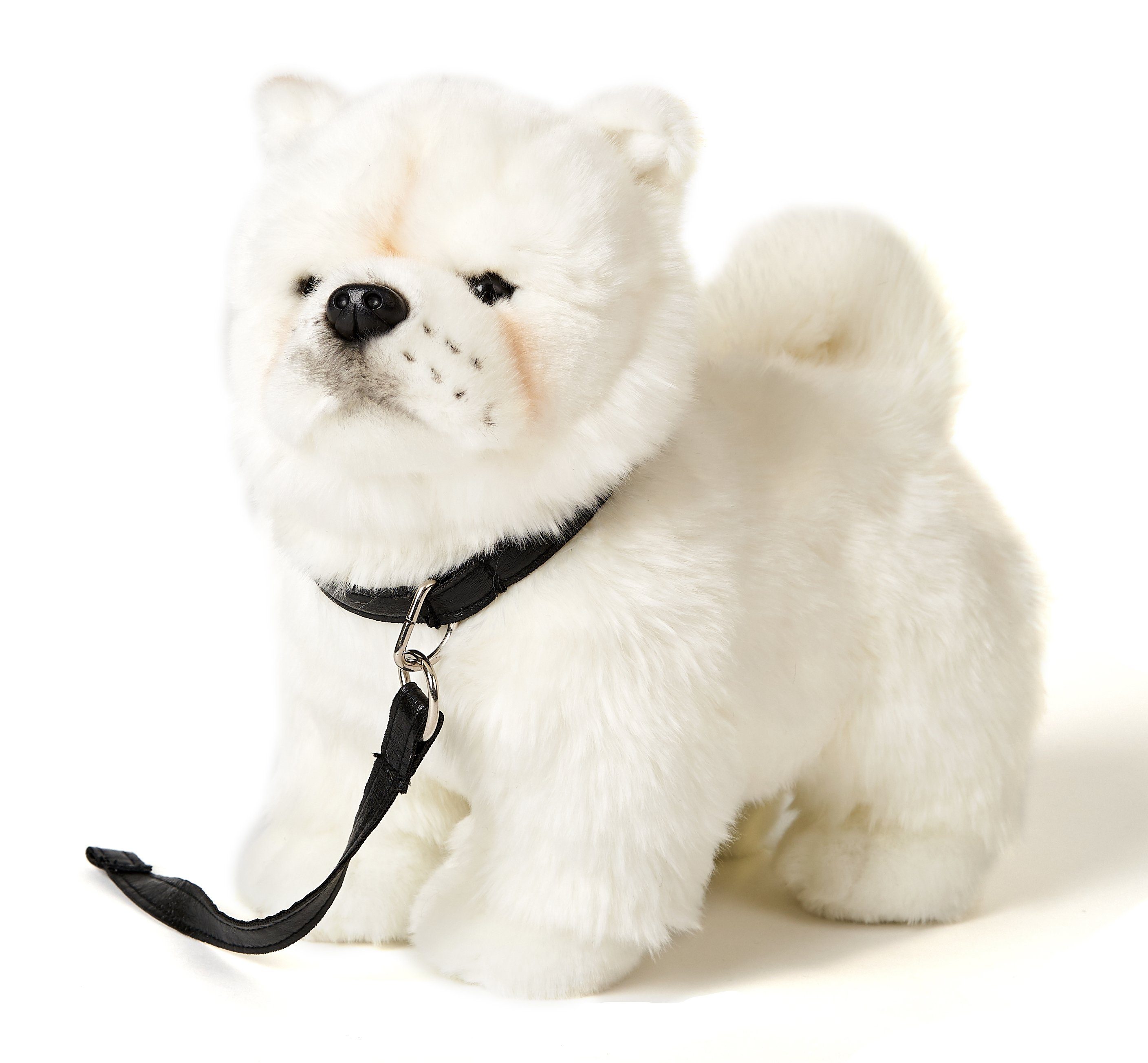 30 Chow zu stehend (m. Leine) Kuscheltier - Plüschtier, Plüsch-Hund weiß, recyceltes % Füllmaterial cm - - Chow Uni-Toys 100
