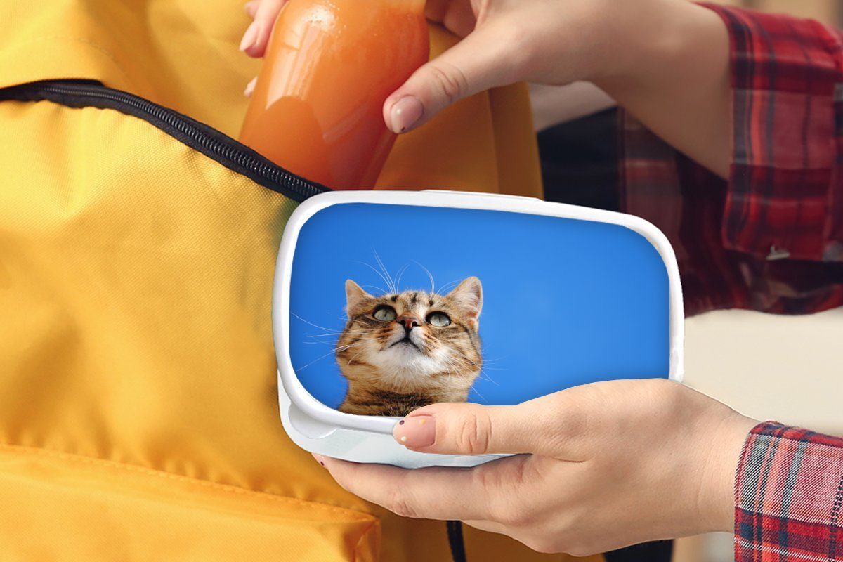 MuchoWow Lunchbox Katze - Jungs für Jungen - Mädchen und Braun - - Kunststoff, Brotbox - und weiß Luft Mädchen Kinder Brotdose, (2-tlg), für Kinder, Erwachsene