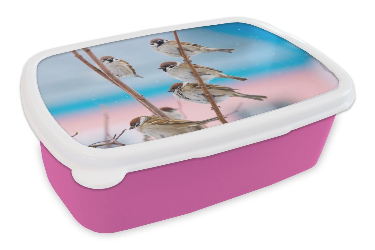 MuchoWow Lunchbox Vögel - Spatz - Tiere - Äste, Kunststoff, (2-tlg), Brotbox für Erwachsene, Brotdose Kinder, Snackbox, Mädchen, Kunststoff rosa