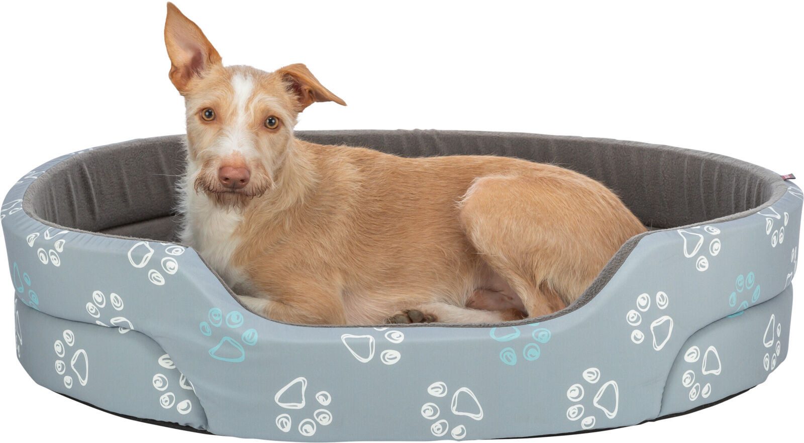 acana trockenfutter Acana Heritage Dog Puppy Recipe – Trockenfutter getreidefrei – zoo.de
