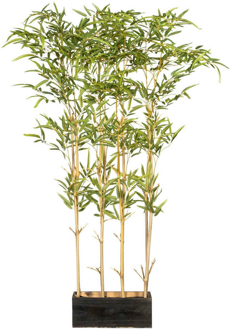 Künstliche Zimmerpflanze »Bambusraumteiler« Bambus, Creativ green, Höhe 130 cm, im Holzkasten