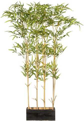 Creativ green Künstliche Zimmerpflanze »Bambusraumte...