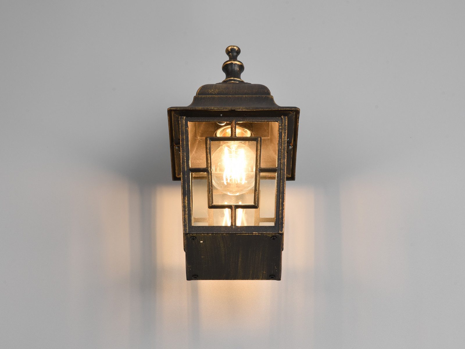 TRIO Leuchten LED Außen-Wandleuchte, LED wechselbar, Warmweiß, Wandlaterne hängend, Fassadenbeleuchtung Haus-wand Haustür, Höhe 30cm