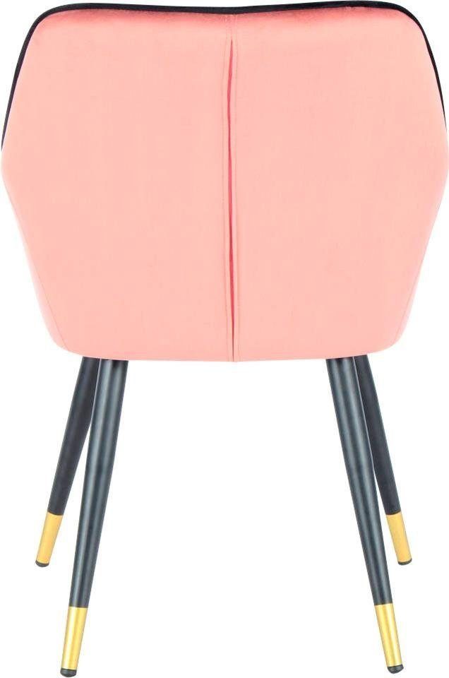 elegant, Stuhl Kayoom 525, rosa/schwarz glamourös Bezug, samtweicher Amino