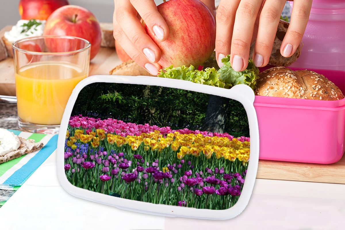 MuchoWow Lunchbox Tulpen in Kunststoff Kunststoff, dem (2-tlg), auf Niederlanden, für Mädchen, den Brotbox Keukenhof Erwachsene, Kinder, Snackbox, Brotdose rosa