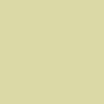 Spannbettlaken Mako-Jersey Spannbetttuch Jupiter 100 x 200 cm grün, Irisette, Baumwolle, (1 Stück), Bettlaken mit Gummizug in 90x200 140x200 180x200 und weitere Größen