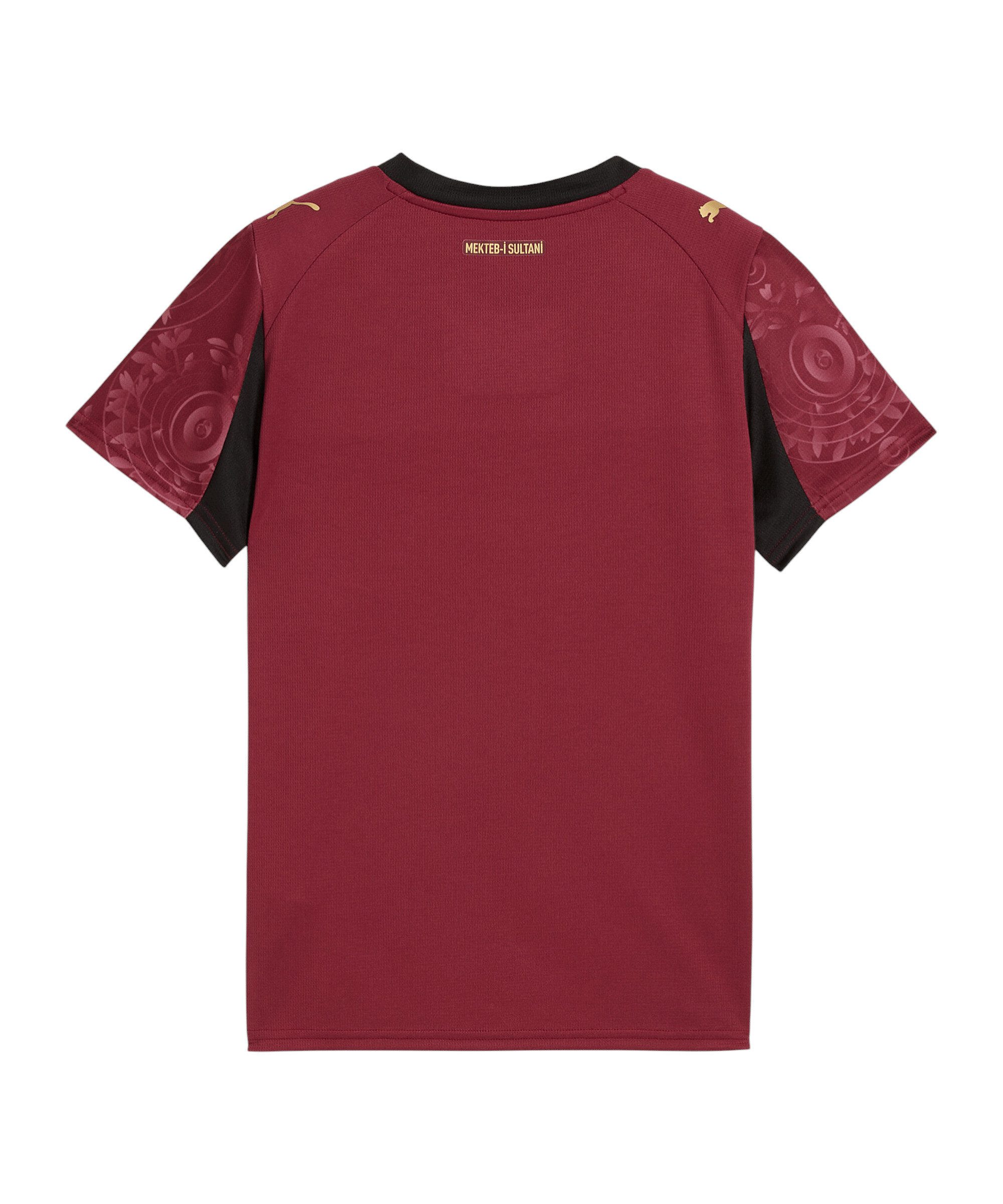 PUMA Fußballtrikot PUMA Galatasaray Istanbul Trikot 3rd 2025/2026 Teamsport günstig online kaufen