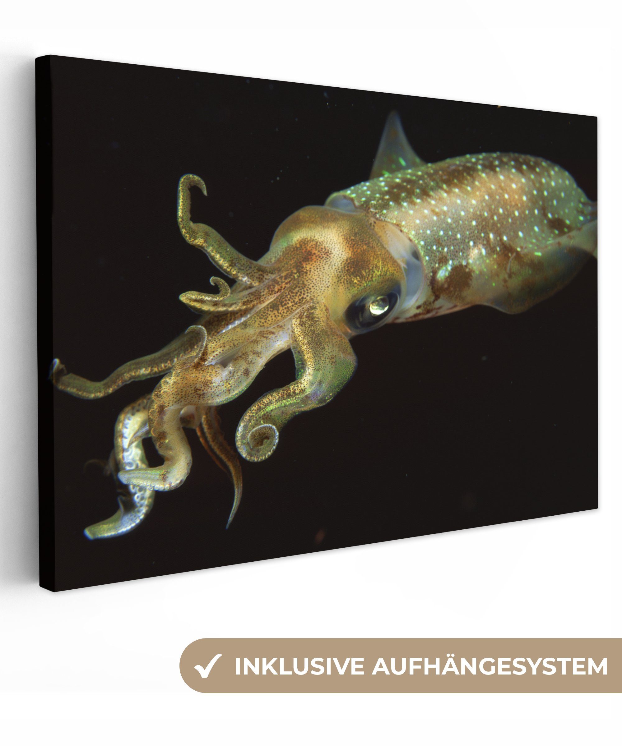 OneMillionCanvasses® Leinwandbild Tintenfisch - Fisch - Schwarz, (1 St), Wandbild Leinwandbilder, Aufhängefertig, Wanddeko, 30x20 cm