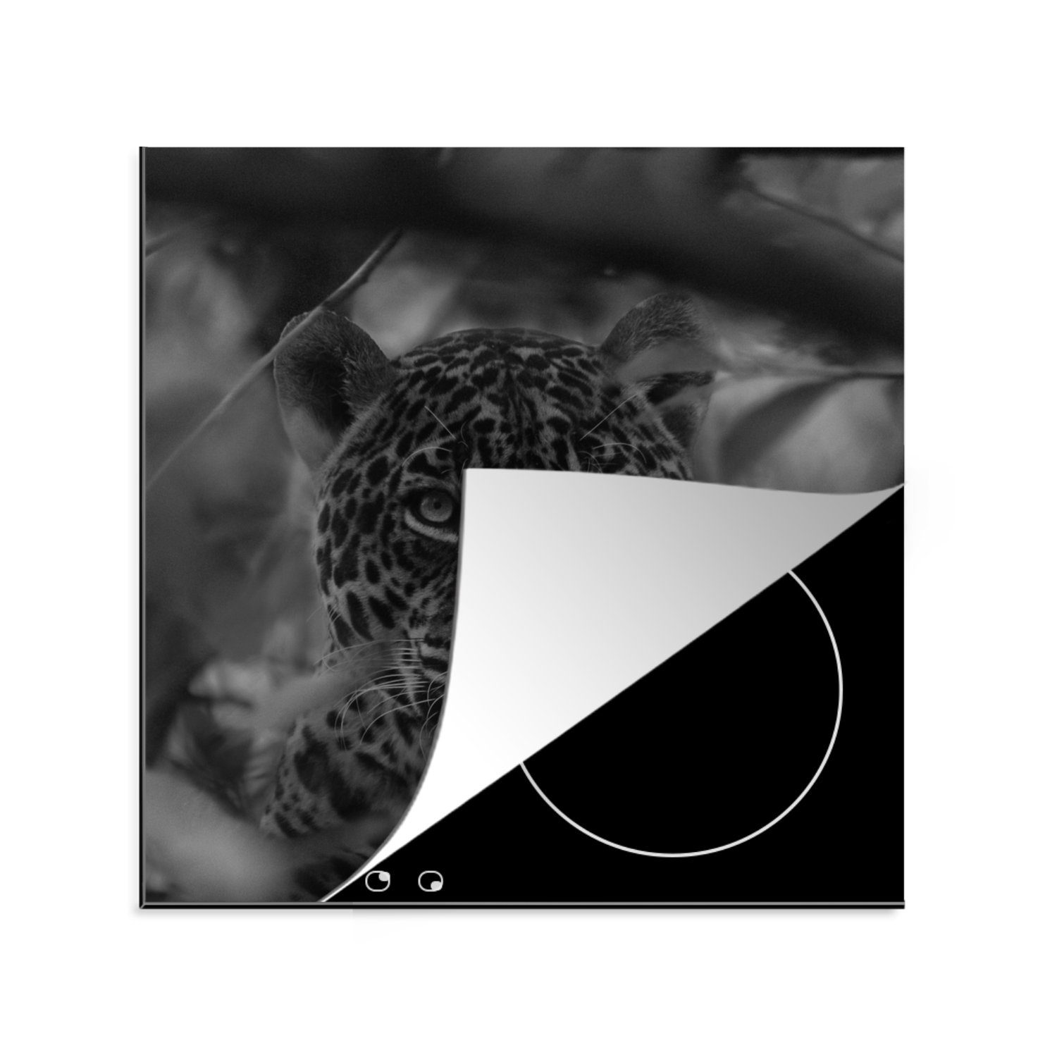 cm, Jaguar Ceranfeldabdeckung, tlg), Weiß, Bolivien Vinyl, 78x78 Schwarz - Herdblende-/Abdeckplatte - MuchoWow Arbeitsplatte (1 - für küche