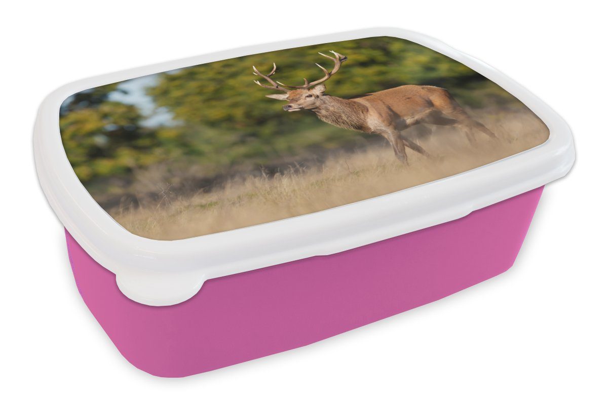 MuchoWow Lunchbox Tiere - Hirsche - Geweihe - Waldtiere - Natur, Kunststoff, (2-tlg), Brotbox für Erwachsene, Brotdose Kinder, Snackbox, Mädchen, Kunststoff rosa