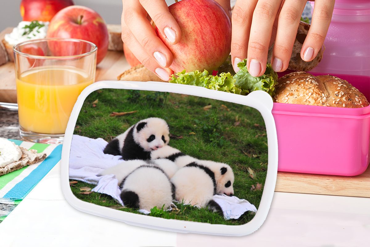 MuchoWow Lunchbox Gras (2-tlg), Kunststoff - Kunststoff, Kinder, Brotbox für Decke, Brotdose - Mädchen, Snackbox, rosa Pandas Erwachsene