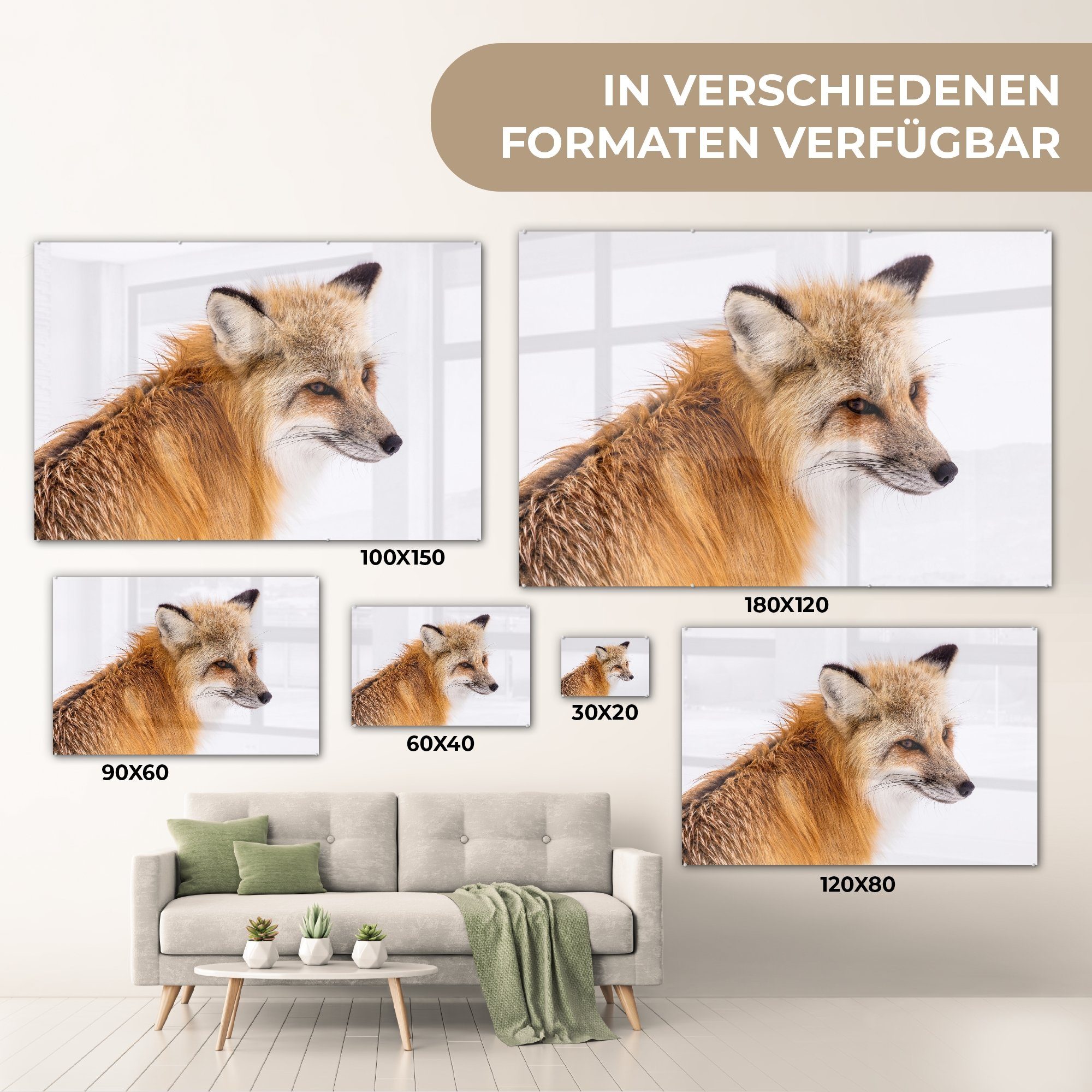 - Orange, & Fuchs MuchoWow Acrylglasbild Schlafzimmer St), - (1 Weiß Wohnzimmer Acrylglasbilder