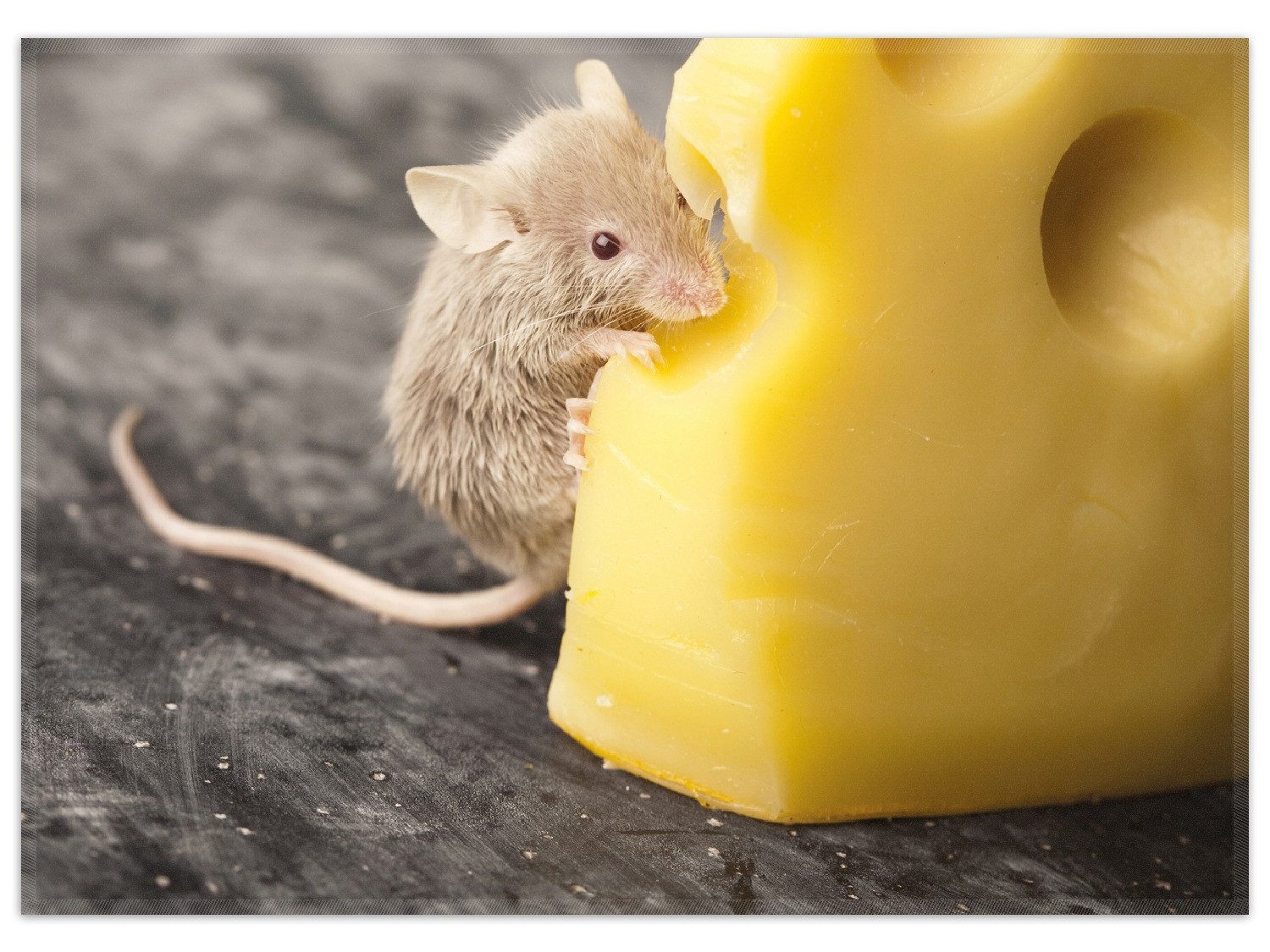 Wallario Teppich Süße Maus knabbert an einem Käse in der Küche, rechteckig, rutschfest