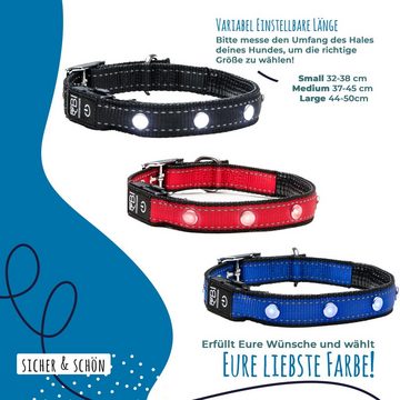 Petsation Hunde-Halsband Leuchthalsband für Hunde [Das Original] Leuchtendes LED Hundehalsband