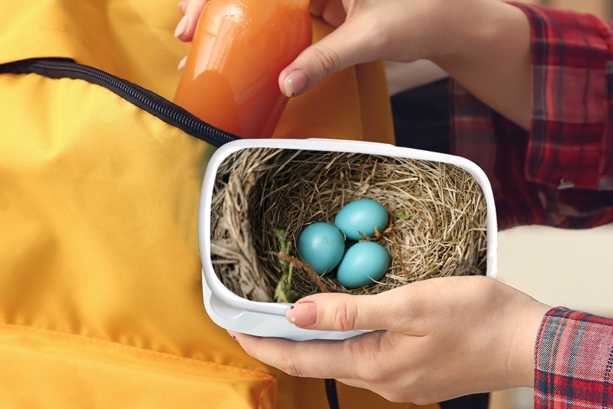 für Kinder Rotkehlchen, Kunststoff, für (2-tlg), Lunchbox Mädchen Eier Jungs und Erwachsene, weiß und Brotdose, - - Brotbox MuchoWow Blau
