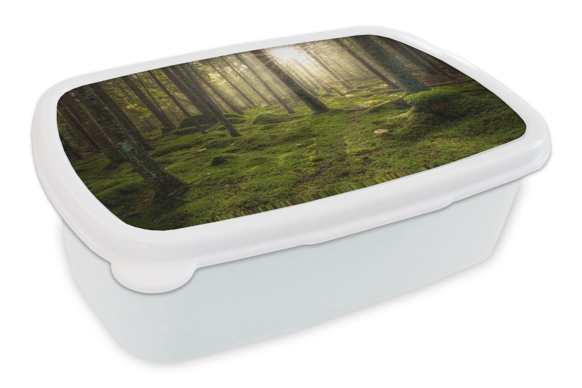 MuchoWow Lunchbox Wald - - Brotdose, für und für Mädchen Erwachsene, Sonne (2-tlg), Brotbox Kunststoff, und Baum, Kinder weiß Jungs