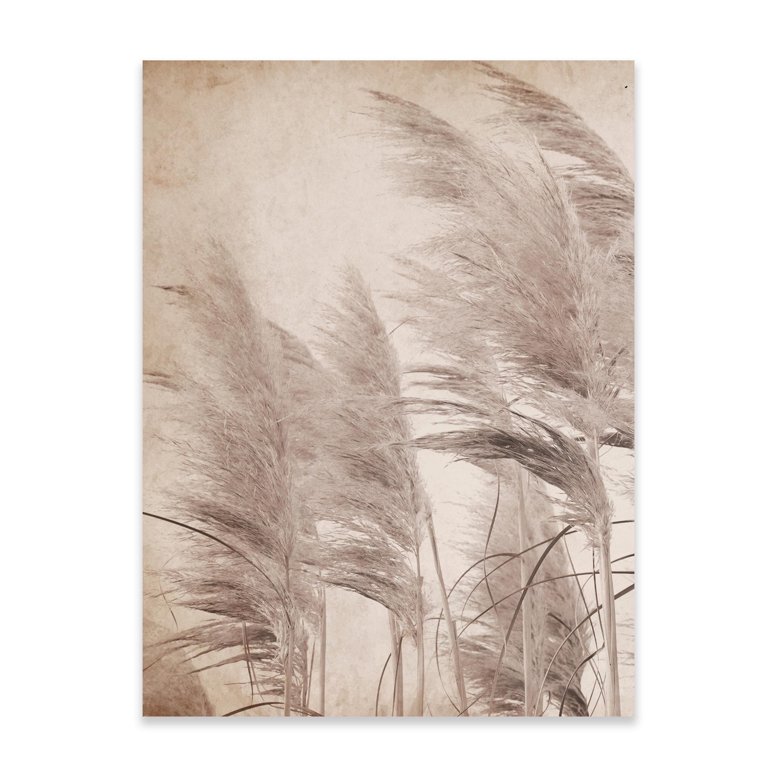 Wallarena Poster Natur - Mehrfarbig - Modern - Vlies - Wohnzimmer, Natur
