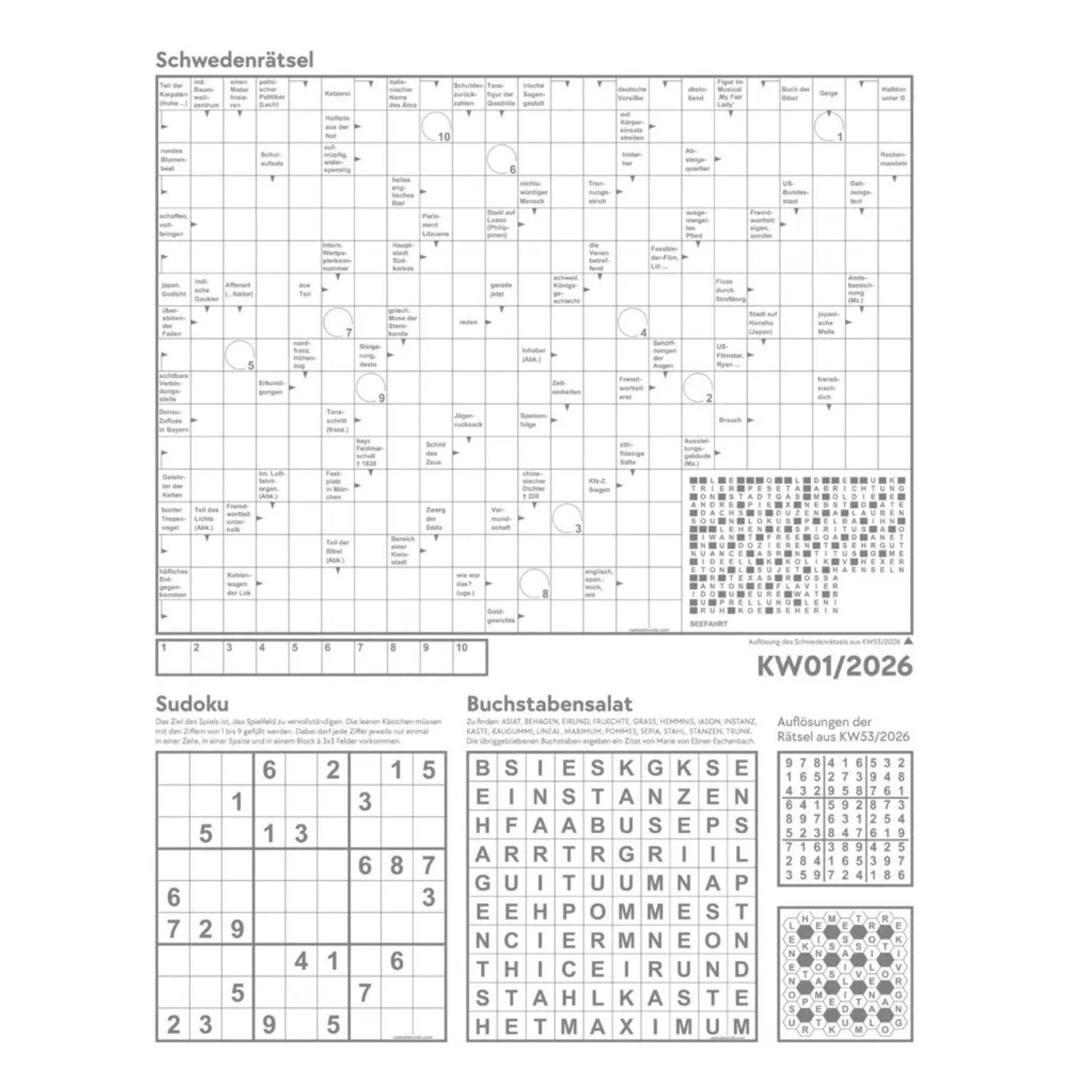 Ackermann Wandkalender Verrücktes Tierleben Wochenplaner mit KI-Bildern Kalender 2026