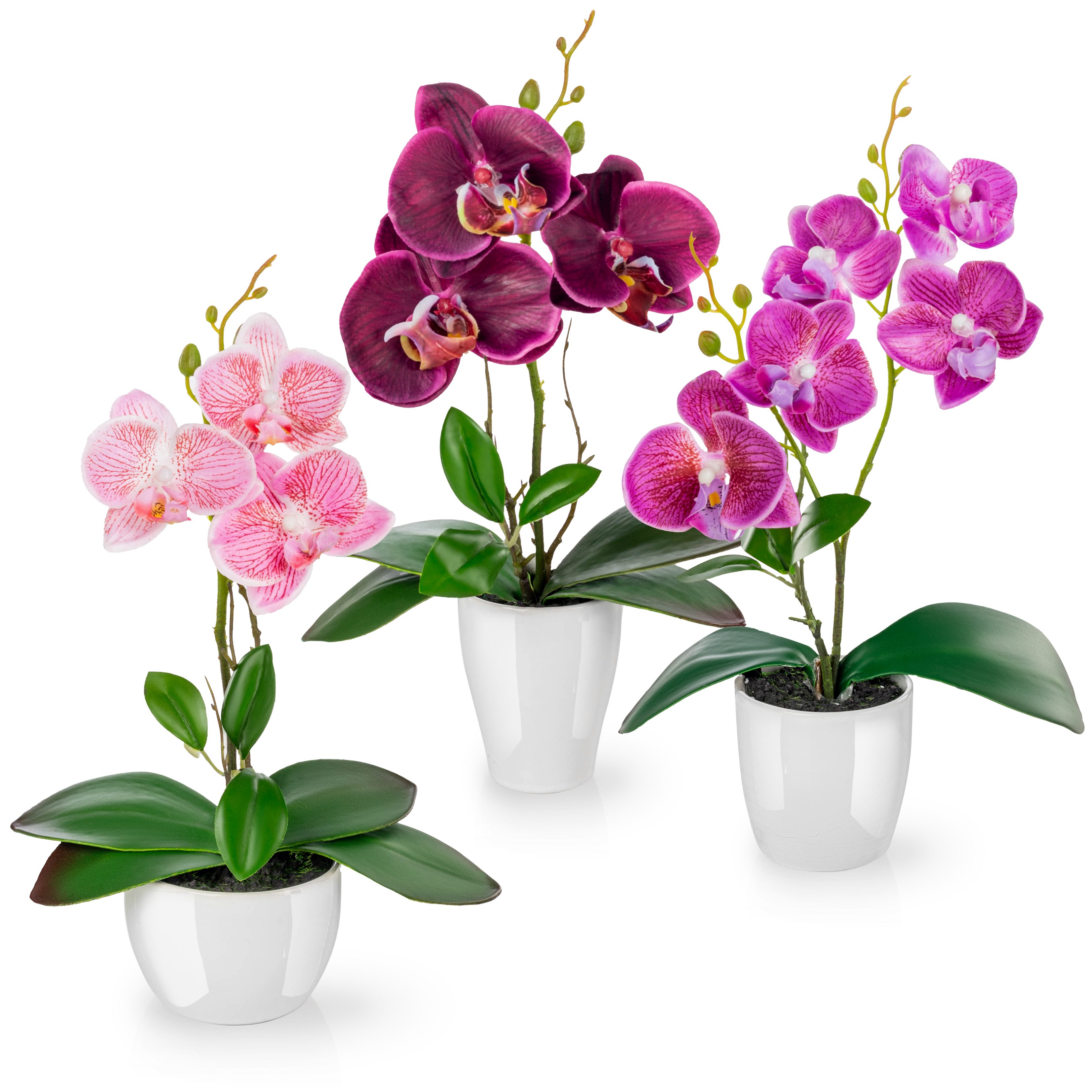 Kunstorchidee 3er Set künstliche Orchideen wie echt (35cm) in Hochglanz-Keramiktopf Orchidee, PASCH