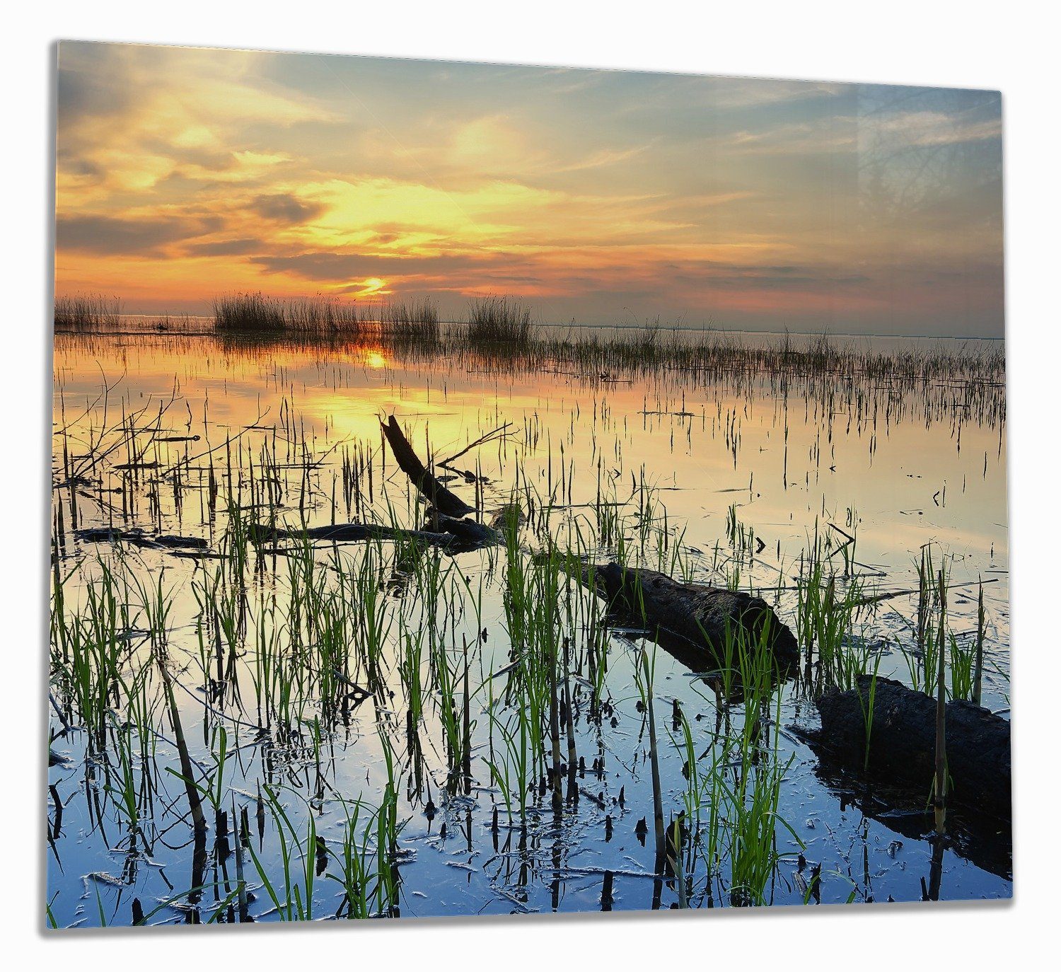 Wallario Herd-Abdeckplatte Schilf am Abend - Sonnenuntergang über der Seelandschaft, ESG-Sicherheitsglas, (Glasplatte, 1 tlg., inkl. 5mm Noppen), verschiedene Größen