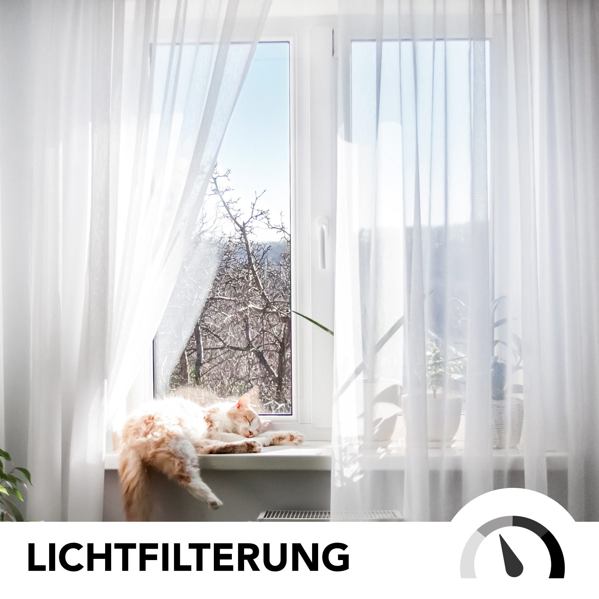 Deconovo Vorhang Transparent Voile Gardinen mit Ösen Wohnzimer Ösenvorhang 2er Set, Luftig Modern Store Dekoschals Schlafzimmer einfarbig pflegeleicht – Bild 3 von 5