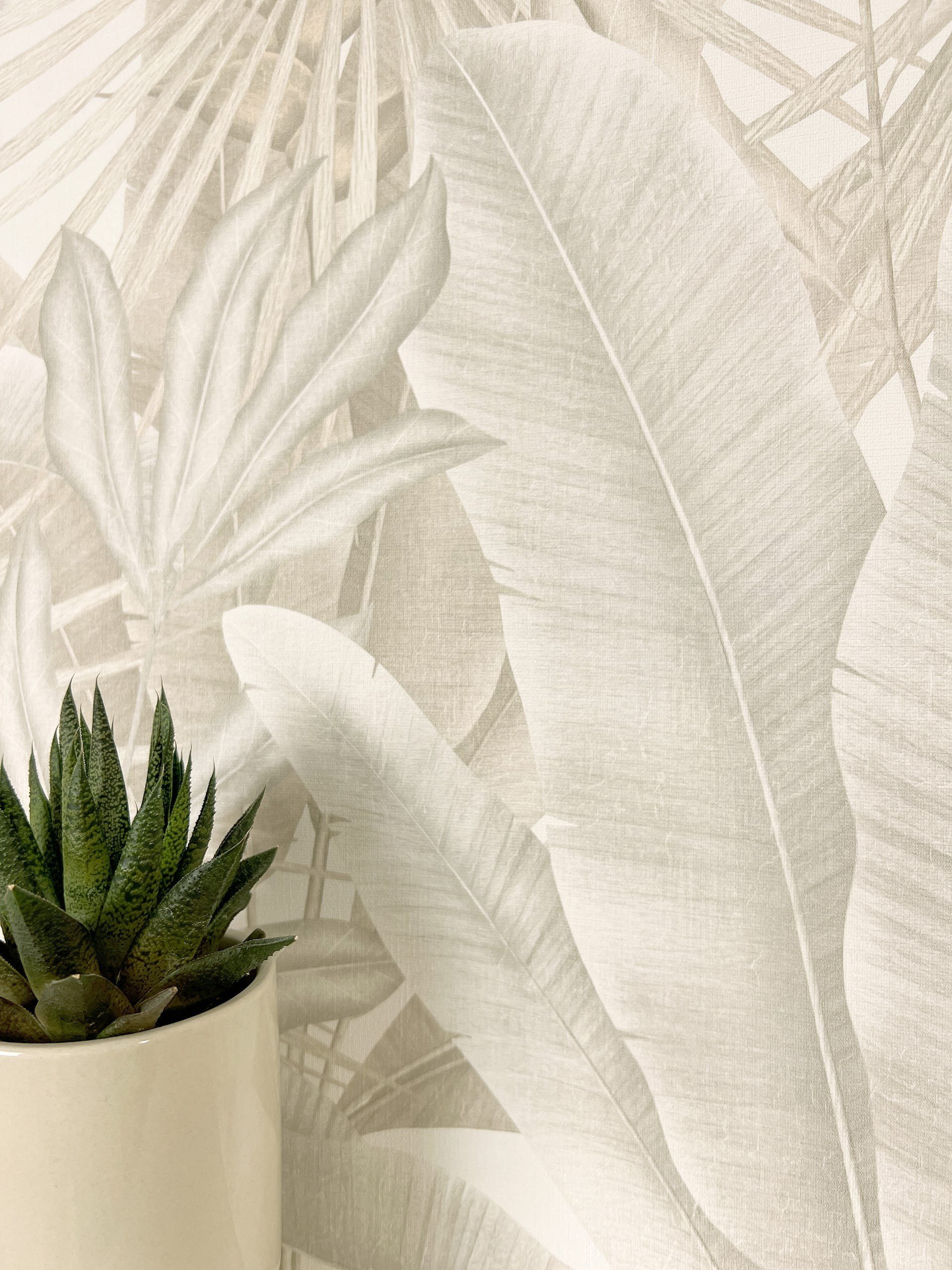 Newroom Vliestapete, Beige Tapete Modern Dschungel günstig online kaufen