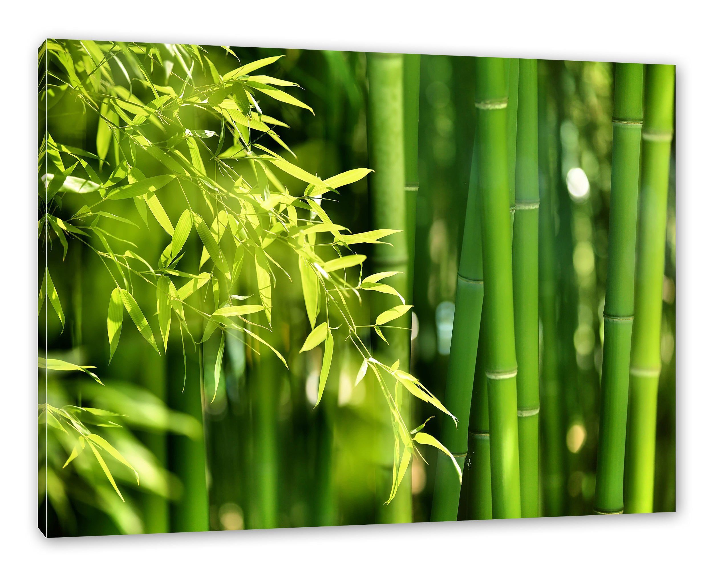 Pixxprint Bambus (1 Blättern, mit St), Leinwandbild Bambus Blättern bespannt, fertig inkl. Leinwandbild Zackenaufhänger mit