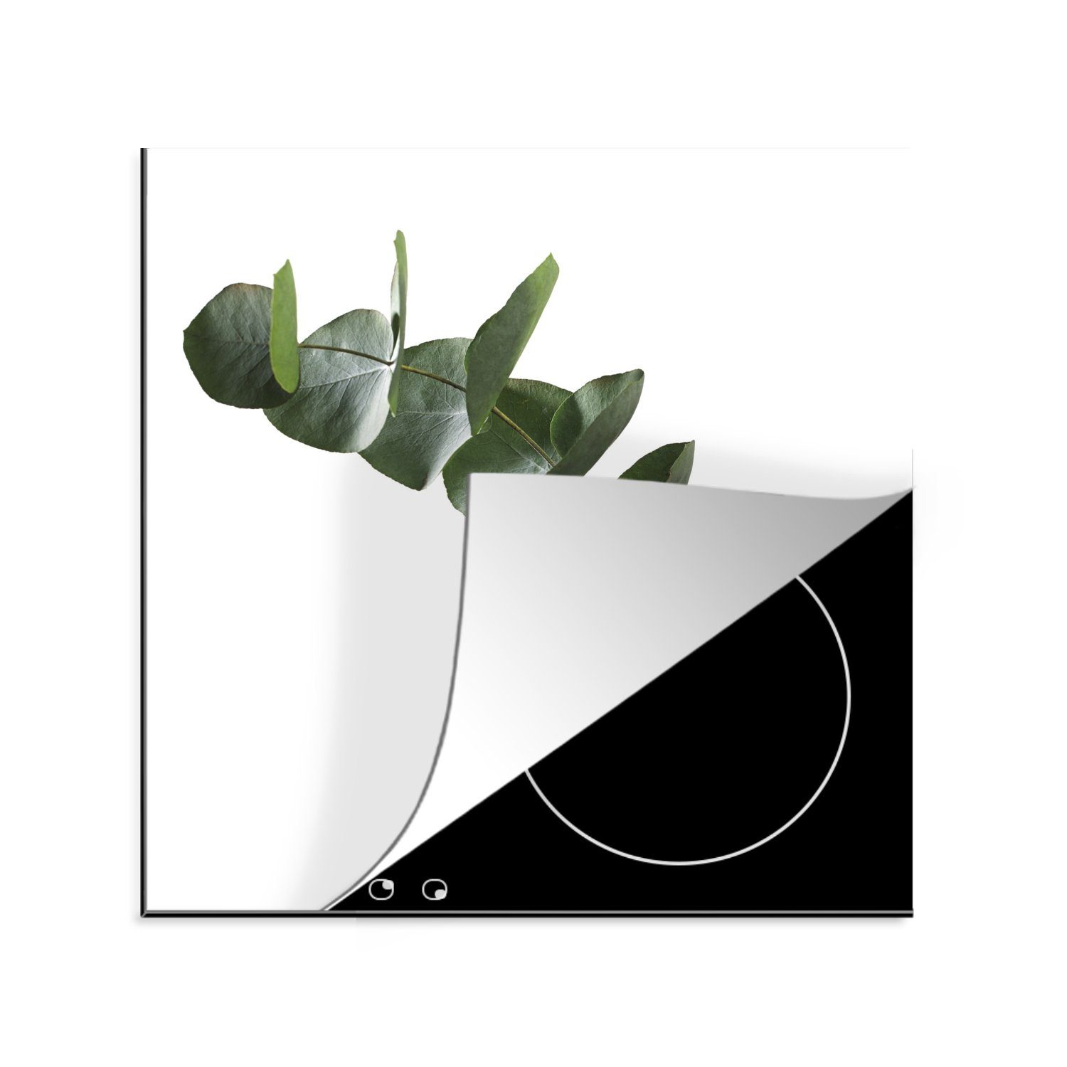 MuchoWow Herdblende-/Abdeckplatte Grüne Eukalyptusblätter auf weißem Hintergrund, Vinyl, (1 tlg), 78x78 cm, Ceranfeldabdeckung, Arbeitsplatte für küche